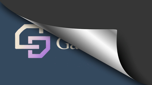 The GastroLink — coming soon